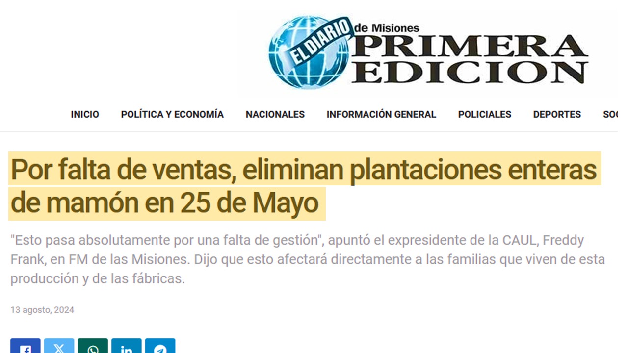 Imagen adicional